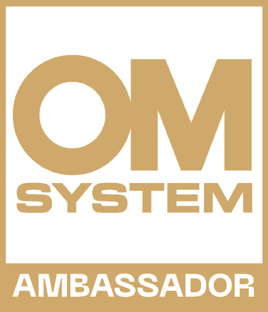 OM SYSTEM Logo — professionelle BANHALMI Mitgliedschaft oder Rolle